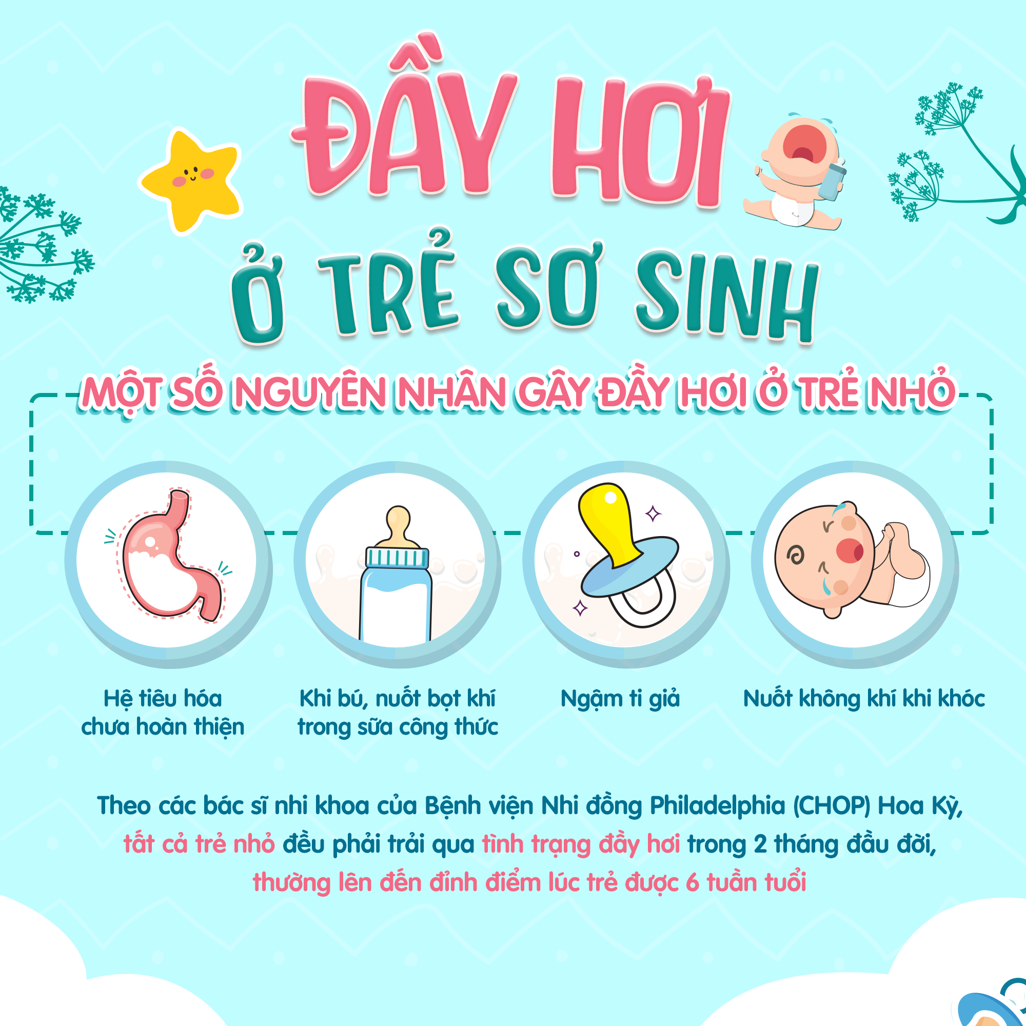 A NGUỲ – THẢO DƯỢC THIÊN NHIÊN CHO CHIẾC BỤNG ĐẦY HƠI CỦA TRẺ NHỎ (PHẦN 1)