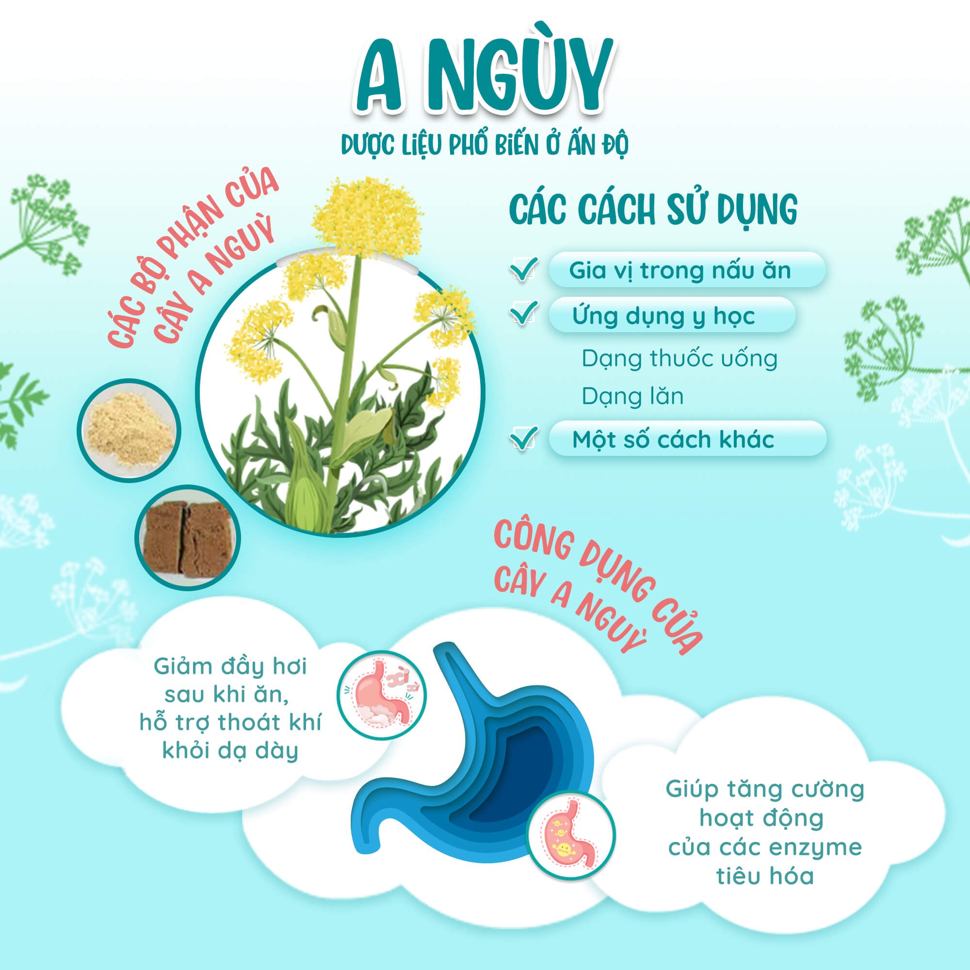 TÌNH TRẠNG ĐẦY HƠI Ở TRẺ SƠ SINH